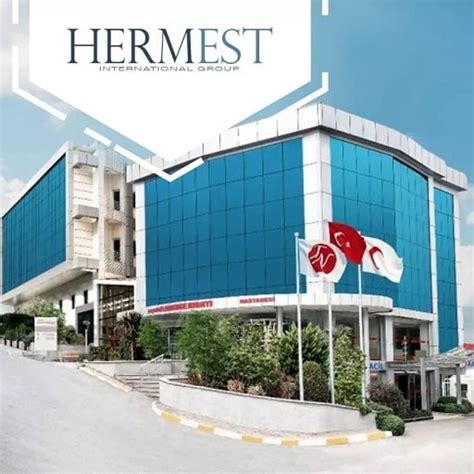 hermest hair clinic istanbul.